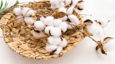 Pamuk çiçekleri hasır bir sepette yatar. İç dekorasyon. Pamuk topluyorum. Doğal malzemeler.