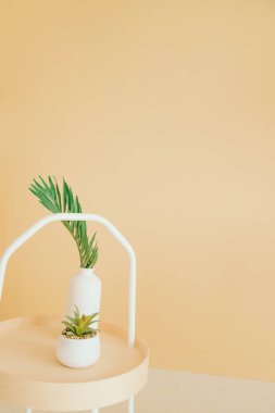 Parlak bir odada ahşap bir sehpa. Küçük bir masada tencerede bir sulu ve vazoda bir palmiye yaprağı var. Minimalist ve şık iç mekan..