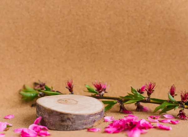 Podium Aus Geschnittenem Holz Pfirsichblüten Sind Überall Verstreut Zusammensetzung Natürlicher — Stockfoto