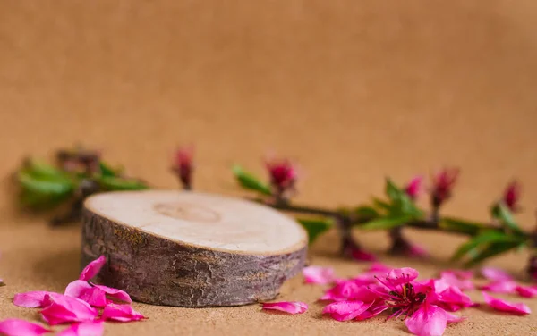 Podium Aus Geschnittenem Holz Pfirsichblüten Sind Überall Verstreut Zusammensetzung Natürlicher — Stockfoto