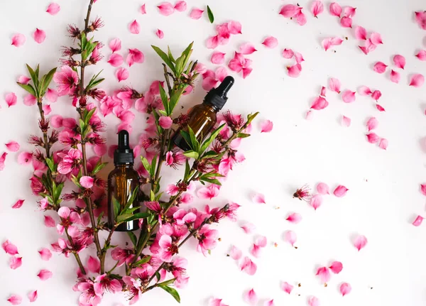 Cosmetic oil in a container with an eyedropper on the background of peach flower petals. Essential oil for aromatherapy. The bottle is brown. Peach branch flowers are scattered on a white background.