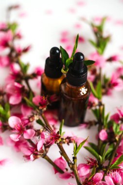 Şeftali çiçeği yapraklarının arka planında göz damlası olan bir kapta kozmetik yağı. Aromaterapi için gerekli yağ. Şişe kahverengi. Şeftali dalı çiçekleri beyaz arkaplana dağılmış..