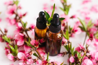 Şeftali çiçeği yapraklarının arka planında göz damlası olan bir kapta kozmetik yağı. Aromaterapi için gerekli yağ. Şişe kahverengi. Şeftali dalı çiçekleri beyaz arkaplana dağılmış..