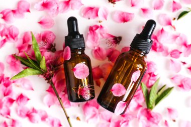 Şeftali çiçeği yapraklarının arka planında göz damlası olan bir kapta kozmetik yağı. Aromaterapi için gerekli yağ. Şişe kahverengi. Şeftali dalı çiçekleri beyaz arkaplana dağılmış..