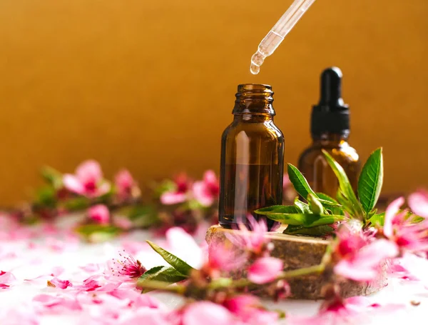 Göz damlası olan bir kabın içindeki kozmetik yağı kesilmiş bir ağaçtan yapılmış bir podyumda duruyor. Aroma terapi için temel yağ. Doğal maddelerin bileşimi.