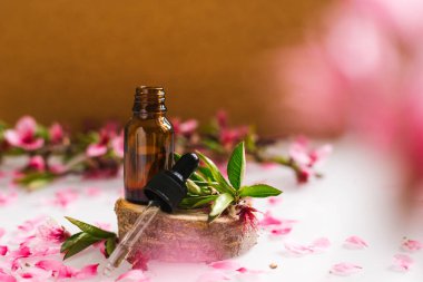 Göz damlası olan bir kabın içindeki kozmetik yağı kesilmiş bir ağaçtan yapılmış bir podyumda duruyor. Aroma terapi için temel yağ. Doğal maddelerin bileşimi.