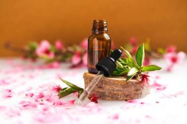 Göz damlası olan bir kabın içindeki kozmetik yağı kesilmiş bir ağaçtan yapılmış bir podyumda duruyor. Aroma terapi için temel yağ. Doğal maddelerin bileşimi.