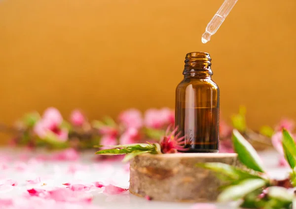 Göz damlası olan bir kabın içindeki kozmetik yağı kesilmiş bir ağaçtan yapılmış bir podyumda duruyor. Aroma terapi için temel yağ. Doğal maddelerin bileşimi.