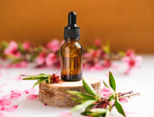 Göz damlası olan bir kabın içindeki kozmetik yağı kesilmiş bir ağaçtan yapılmış bir podyumda duruyor. Aroma terapi için temel yağ. Doğal maddelerin bileşimi.