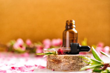 Göz damlası olan bir kabın içindeki kozmetik yağı kesilmiş bir ağaçtan yapılmış bir podyumda duruyor. Aroma terapi için temel yağ. Doğal maddelerin bileşimi.