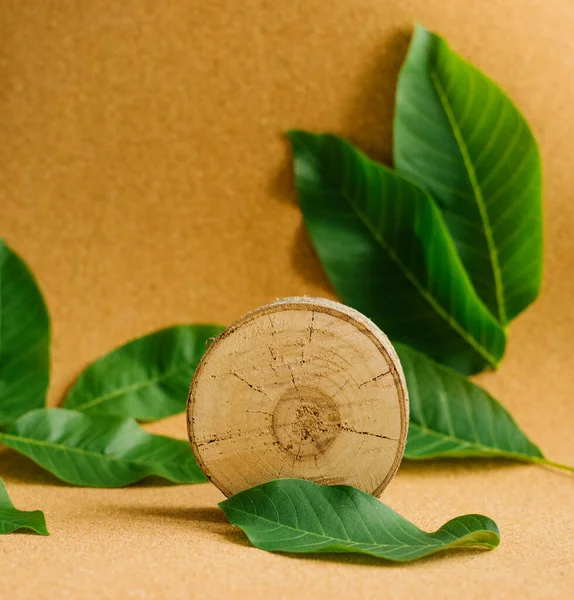 Corte Árbol Joven Sobre Fondo Marrón Con Hojas Verdes Fondo —  Fotos de Stock