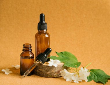 Bir tahta parçasının üzerinde iki şişe kozmetik yağ standı. Yakınlarda yeşil yapraklar ve küçük beyaz çiçekler var. Cilt ve saç bakımı. Alternatif tıp ve aromaterapi..