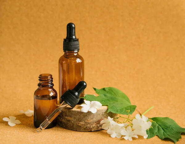 Two glass bottles of cosmetic oil stand on a piece of wood. Nearby are green leaves and small white flowers. Skin and hair care.Alternative medicine and aromatherapy.