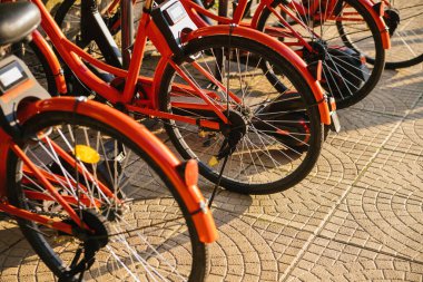 Red bicycles stand in a row in the parking lot. Rent a car in a public park. Sports bike ride with a family or one person. Active recreation.