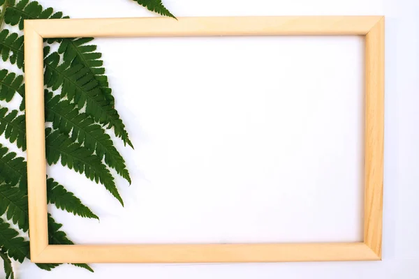 Romantic Composition Green Leaves Green Fern Leaf Photo Frame White — Stock Photo, Image