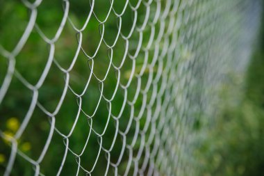 The background is made of metal mesh. A fence on a garden plot. Blurred background. The texture of the interlacing wire.