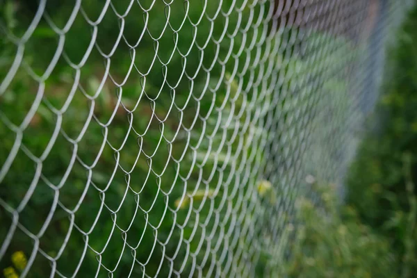 Fond Est Fait Treillis Métallique Une Clôture Sur Terrain Jardin — Photo