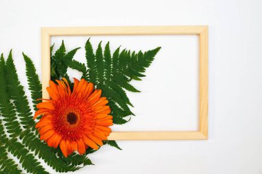 Gerbera çiçekleri ve eğreltiotu yapraklarının romantik bir kompozisyonu. Beyaz arka planda turuncu çiçek ve fotoğraf çerçevesi. Metin için boş bir boşluk.
