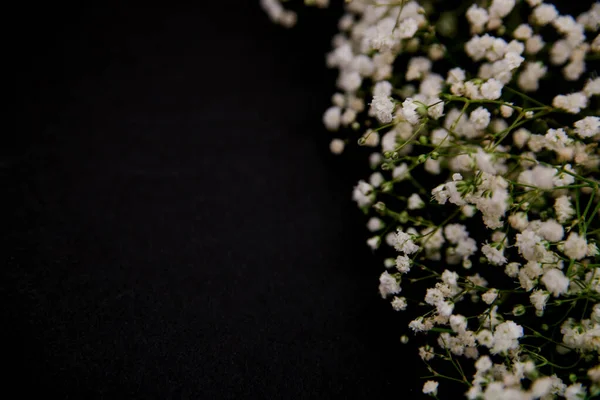 Eine Romantische Komposition Aus Blumen Weiße Zigeunerblumen Auf Schwarzem Hintergrund — Stockfoto
