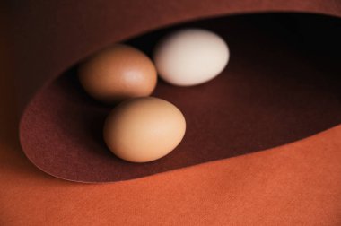 Tavuk yumurtaları kahverengi kağıda dizilir. Kağıt spiral ya da oval şeklinde sarılmış. Bayram için paskalya yumurtası. Mukavvanın dokusu. Güzel chiaroscuro deseni.