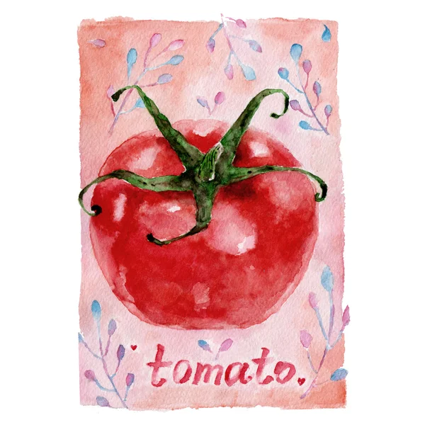 Fundo aquarela com tomate . — Fotografia de Stock