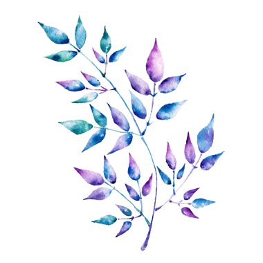 Isolaited beyaz renkli yaprakları ile arka plan. Suluboya resim