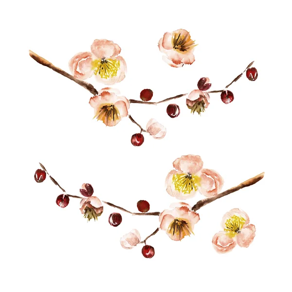 Illustration aquarelle avec la branche de fleurs — Photo