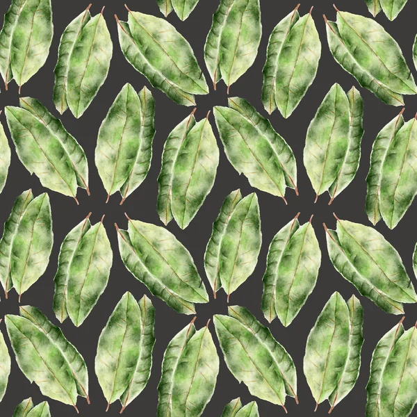Seamless pattern with bay leaf — Stock Photo, Image