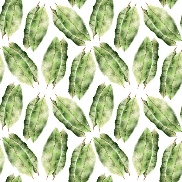 Seamless pattern with bay leaf — Stock Photo, Image