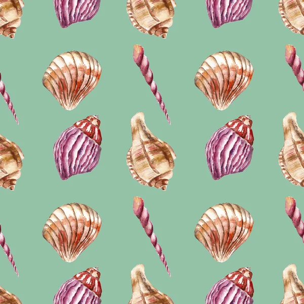 Seamless pattern with sea-shells. Watercolor illustration. — Stock Photo, Image