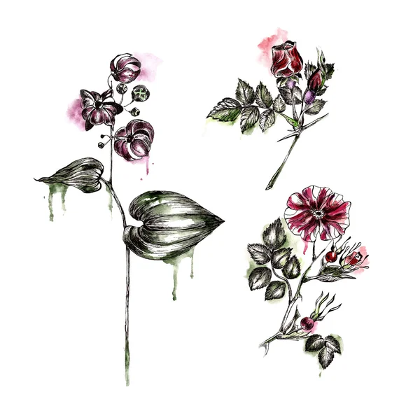 Achtergrond met bloemen. Aquarel illustratie. — Stockfoto