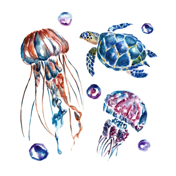На заднем плане медузы и черепахи. Акварель . — стоковое фото