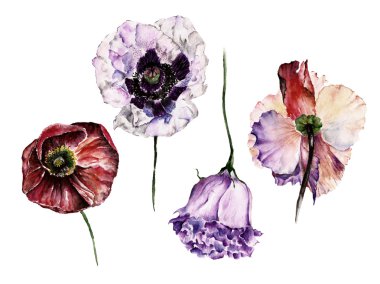 Arka çiçekli. Suluboya resim.