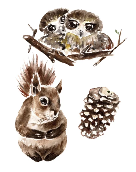 Ilustração aquarela com pequenas corujas e esquilo. fundo isolado — Fotografia de Stock