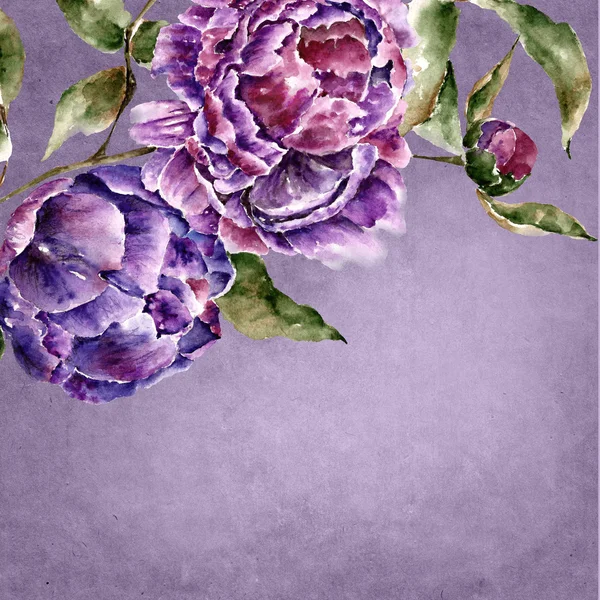 Sfondo ad acquerello con fiori. Illustrazione ad acquerello . — Foto Stock