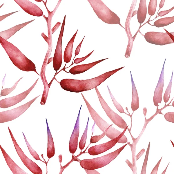 与干燥标本集花卉和植物的无缝模式。水彩插图. — 图库照片