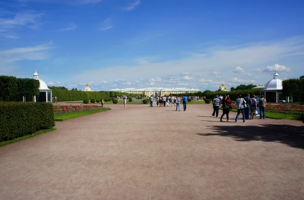 Peterhof. — Stok fotoğraf