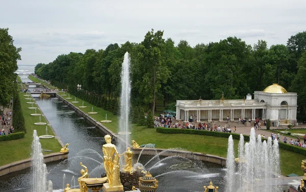 Tenger csatornát Peterhof — Stock Fotó