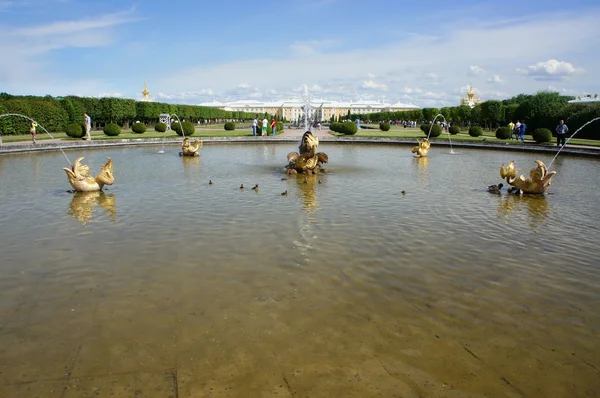 Mezheumny фонтан у Петергофі — стокове фото