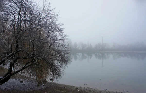 Jezioro zimowe — Zdjęcie stockowe