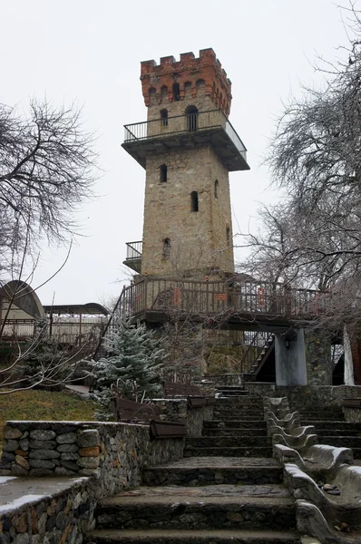 Torre di osservazione — Foto Stock