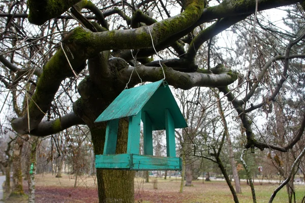 Vogelvoeders — Stockfoto