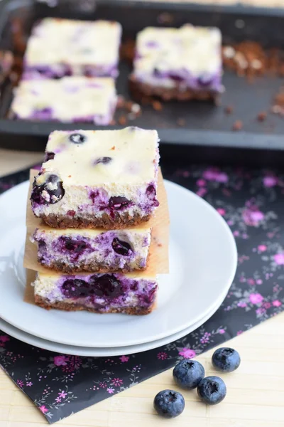 Blueberry cheesecake chocolate crust — Stock Photo, Image