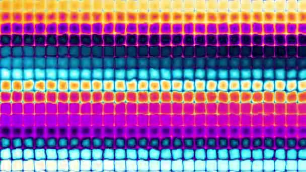 Nahtlose Schleife abstrakten Bewegungshintergrund. Abstraktes Tupfen-Filmmaterial. — Stockvideo