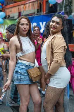 Buenos Aires, Arjantin - 01 Kasım 2025: LGBT halkı Buenos Aires 'teki 16.
