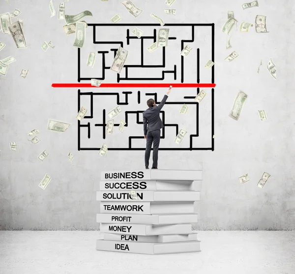 Man standing on pile of books with key business words written on backs and painting red line, dollars falling from above. — Stock Photo, Image