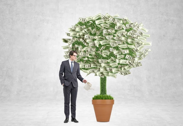 Geschäftsmann Gießkanne mit Geldbaum. Konkreter Hintergrund. Konzept des Profits. — Stockfoto