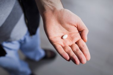 Bir küçük hap içinde palmiye