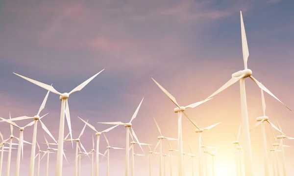 Wind mills at sunset — Stock Photo, Image