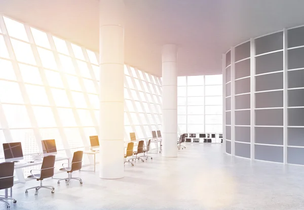 Coworking office with sunlight — Stock Photo, Image